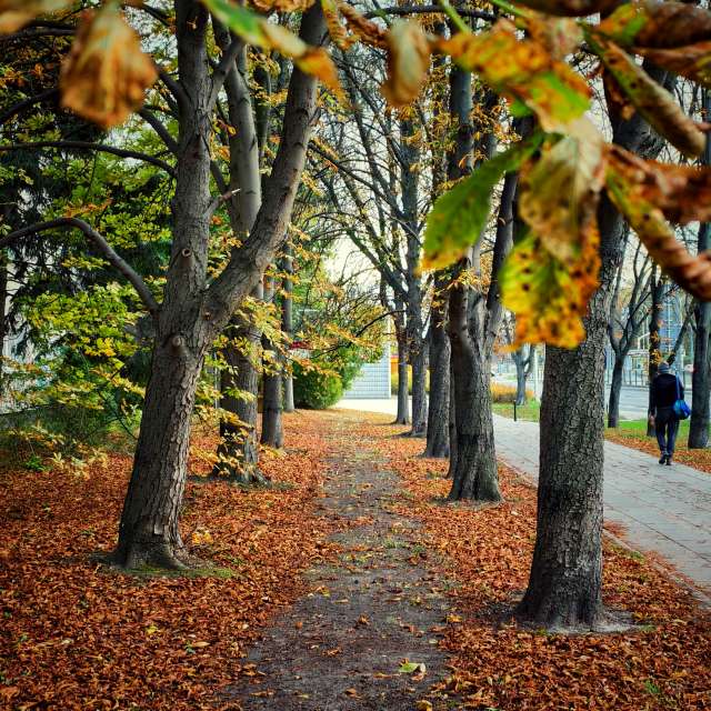 Weather forecasts with beautiful photos by Sebus1981