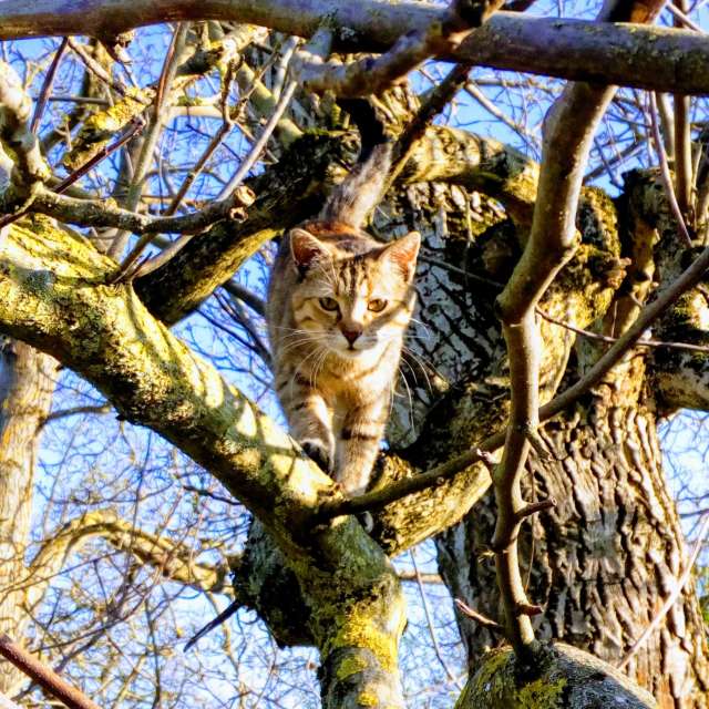 Pronósticos del tiempo con hermosas fotos de jmayr