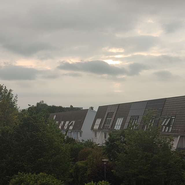 Sheep. Weather forecasts with beautiful photos by Tercis Photos in Ettlingen