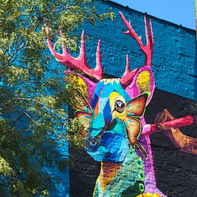 Prévisions météo avec de superbes photos de ubafish