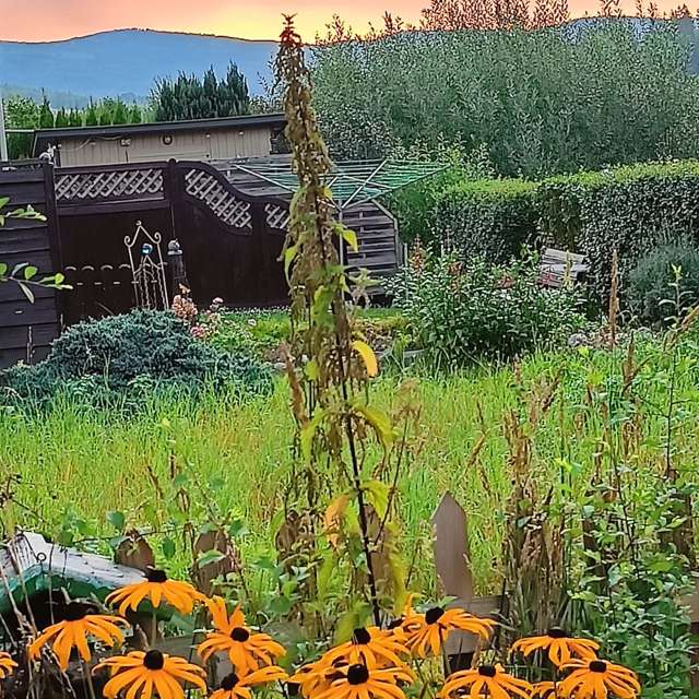 Previsões do tempo com lindas fotos de Muschelschloss