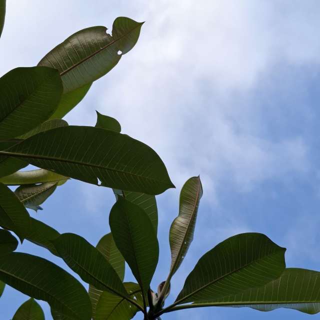 Sign. Weather forecasts with beautiful photos by Wen-ya Huang Photos in Kaohsiung City