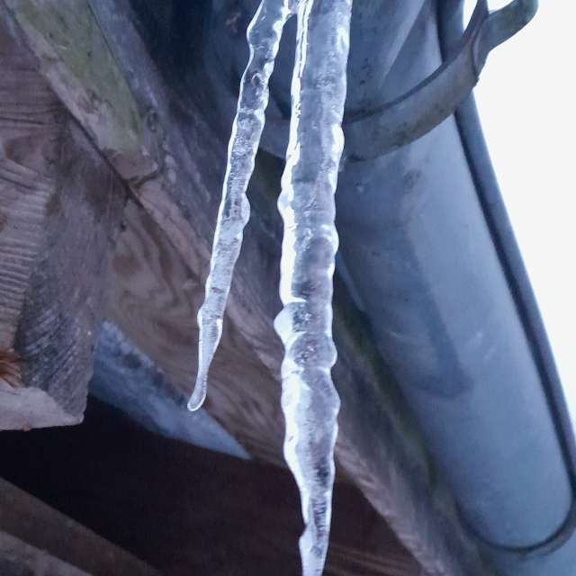 Weather forecasts with beautiful photos by Ute-Eleonore