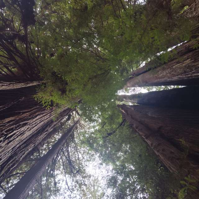 Weather forecasts with beautiful photos by Pilgrimfriend