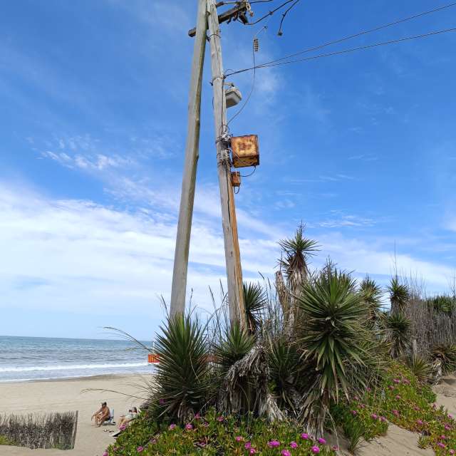 Weather forecasts with beautiful photos by Paponenino