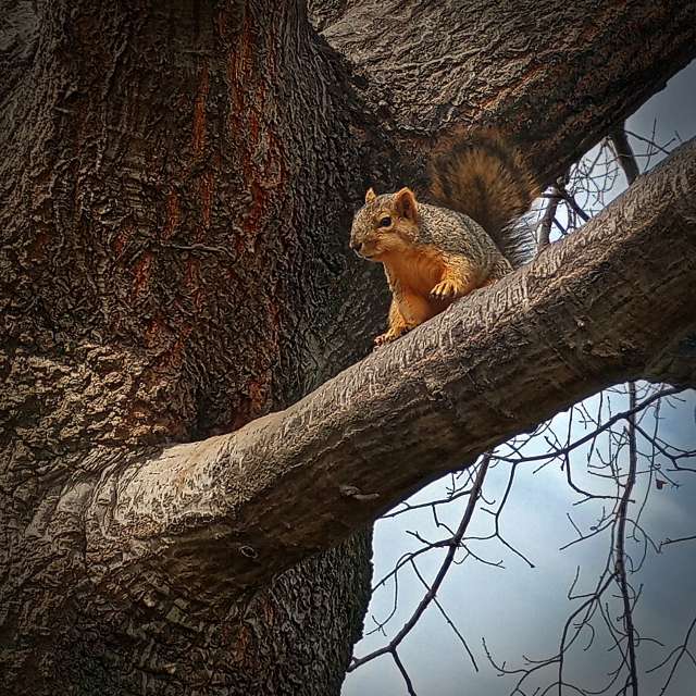 Almaの美しい写真による天気予報