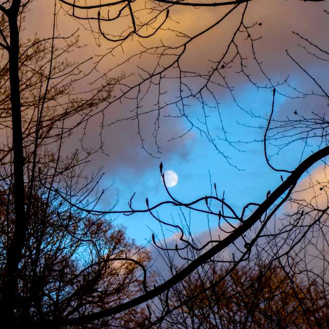 Dự báo thời tiết với những bức ảnh đẹp của DarekCho