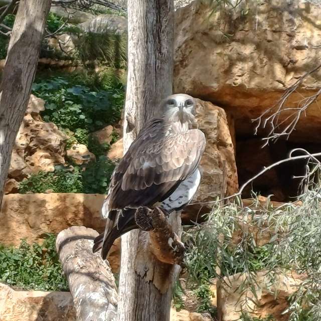 Zoo. Weather forecasts with beautiful photos by Zaza Photos in World