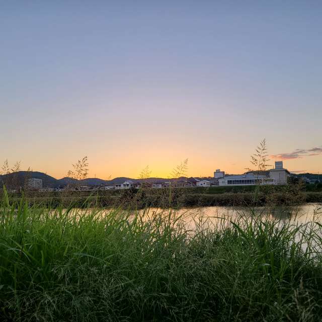 Grassy. Weather forecasts with beautiful photos by あさのジジ Photos in Okayama