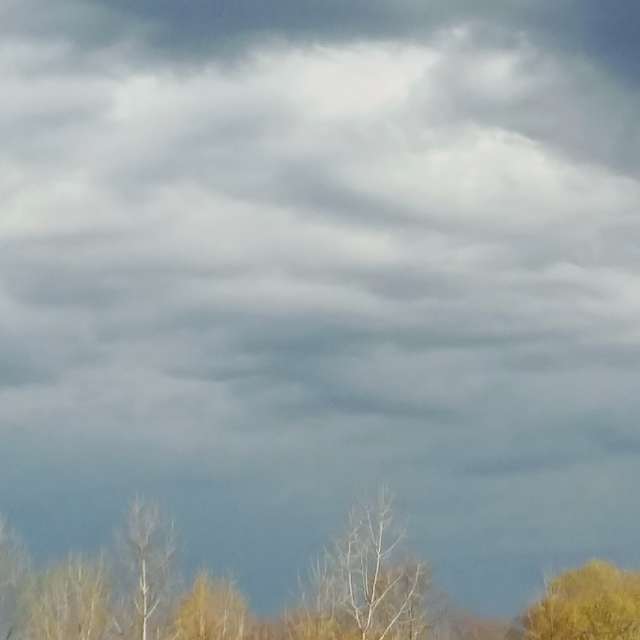 天气预报，带LehCar精美的照片