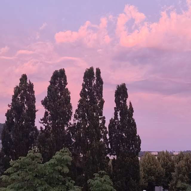 Country. Weather forecasts with beautiful photos by Tercis Photos in Ettlingen