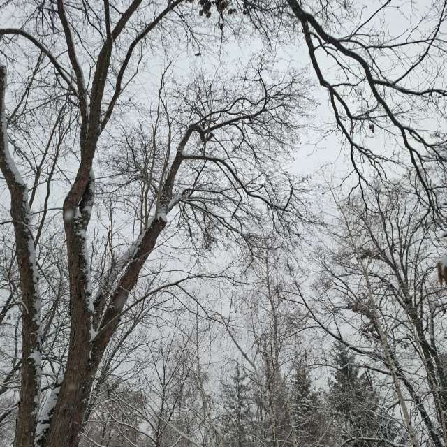 Wettervorhersagen mit schönen Fotos von Iryna