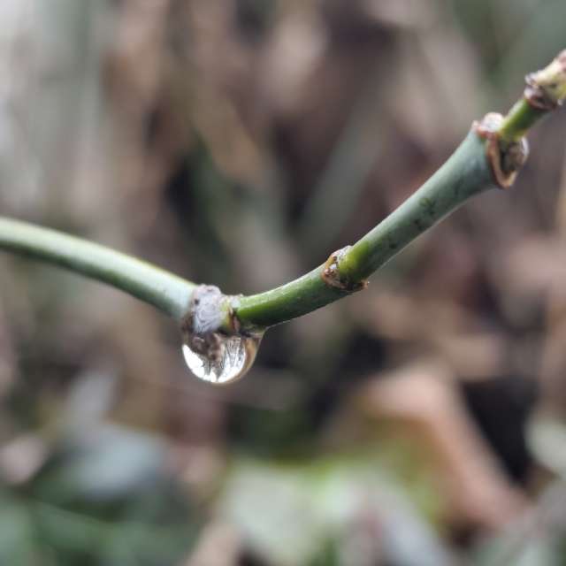 IvanaBの美しい写真による天気予報