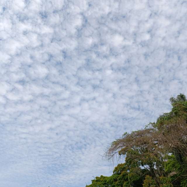 Weather forecasts with beautiful photos by Kimivagner