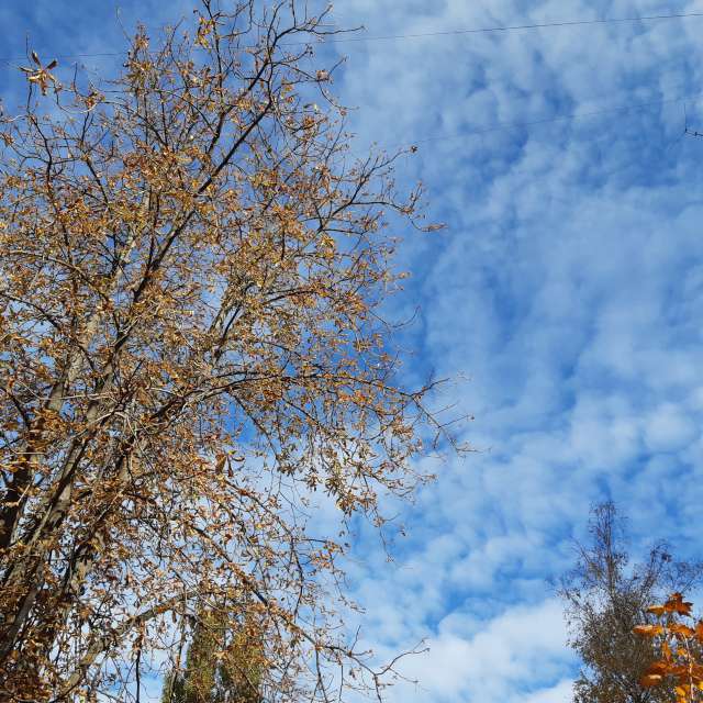 Cloud. Weather forecasts with beautiful photos by Iryna Photos in Kharkiv