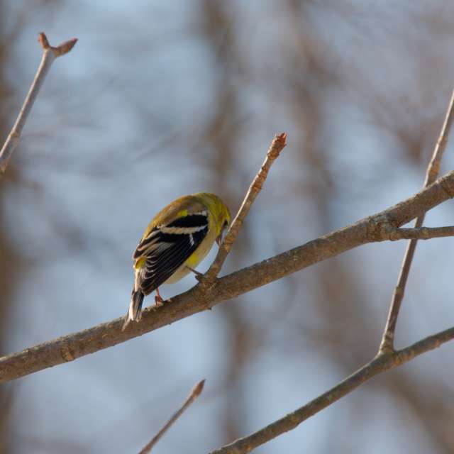 Dự báo thời tiết với những bức ảnh đẹp của krantzjh