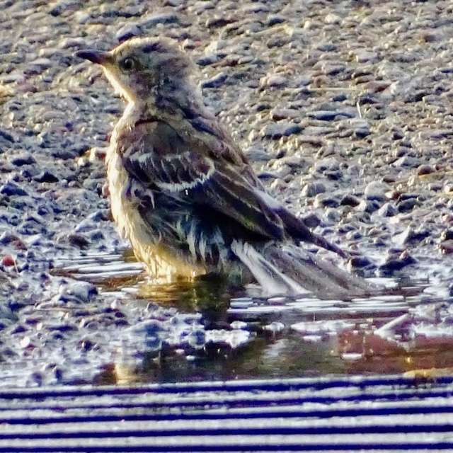 Weather forecasts with beautiful photos by CaTSmiles