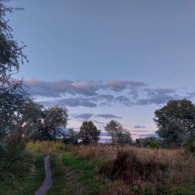 Direction. Weather forecasts with beautiful photos by Iryna Photos in Kharkiv