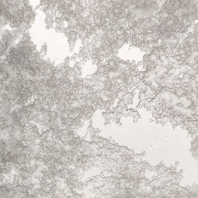 agOostの美しい写真による天気予報