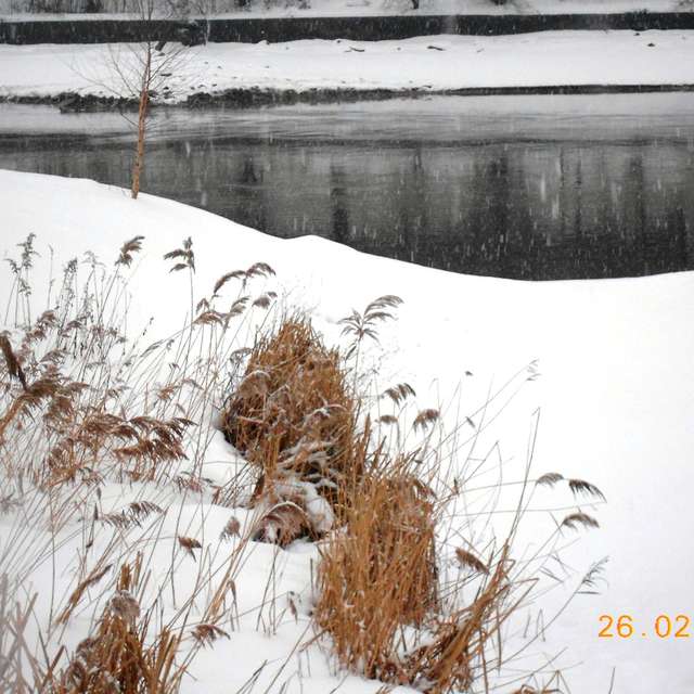 Weather. Weather forecasts with beautiful photos by Vch Photos in Moscow