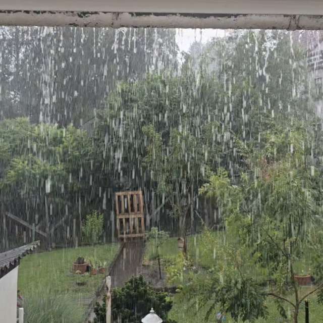 天气预报，带Neonchen精美的照片
