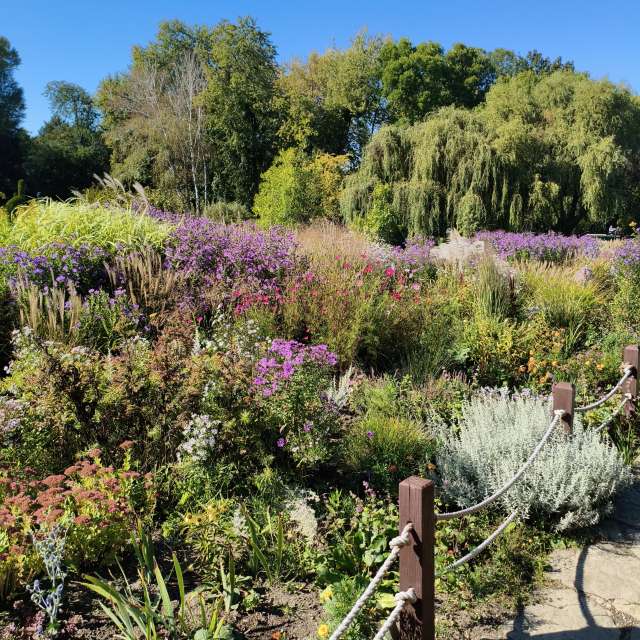Forest. Weather forecasts with beautiful photos by InnaMoon Photos in Chisinau