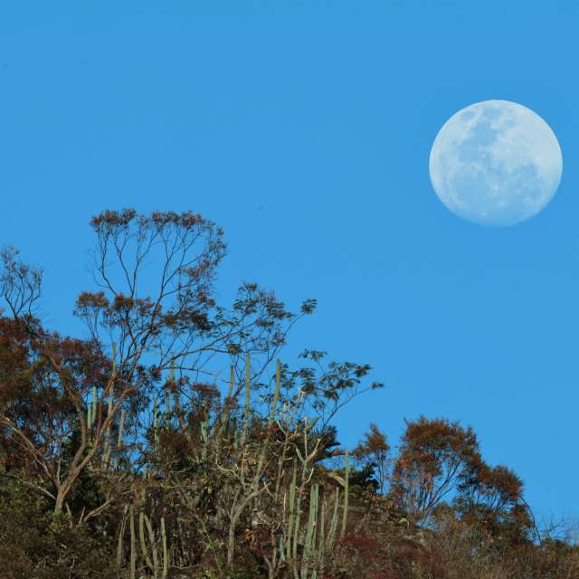 Natureza. Wettervorhersagen mit schönen Fotos von VIAꓨEM_E_HISTÓЯIA Fotos Florianópolis