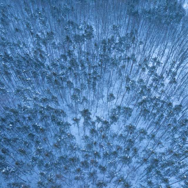 Previsões do tempo com lindas fotos de ooee