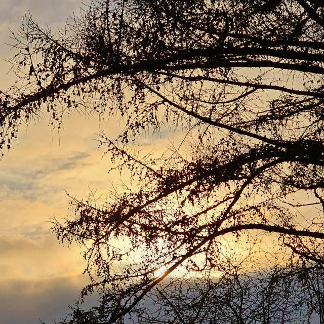 Fotos Torre. Previsões do tempo com lindas fotos de Seni em Velbert