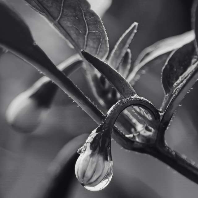 Прогнозы погоды с чудесными фотографиями, сделанными derlops