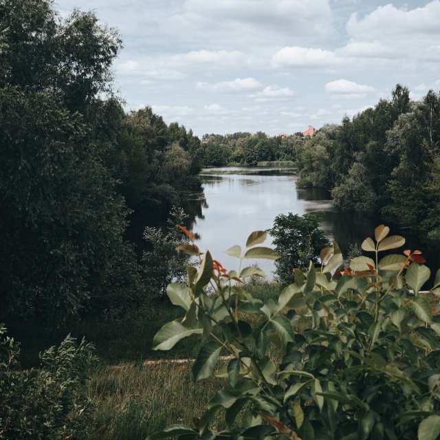Pronósticos del tiempo con hermosas fotos de RuslanLeuliukh
