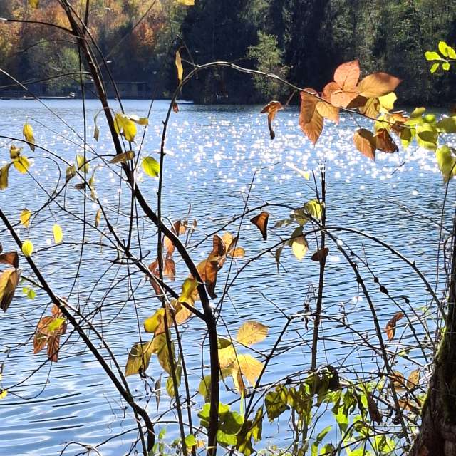 Birgit_Gの美しい写真による天気予報