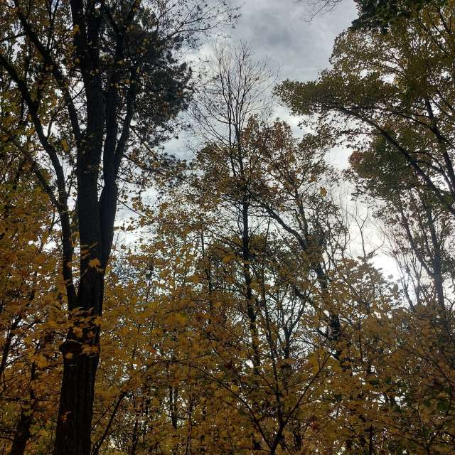 Previsões do tempo com lindas fotos de MaLou