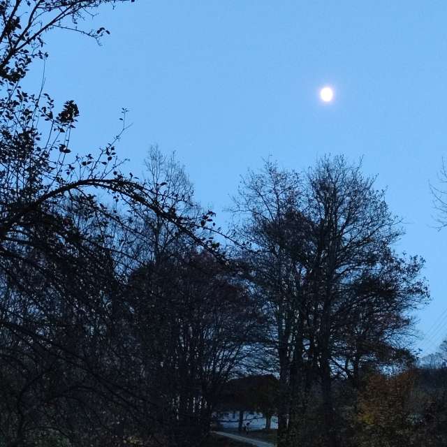 Kleka92の美しい写真による天気予報