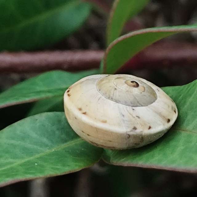 Прогнозы погоды с чудесными фотографиями, сделанными Brtd