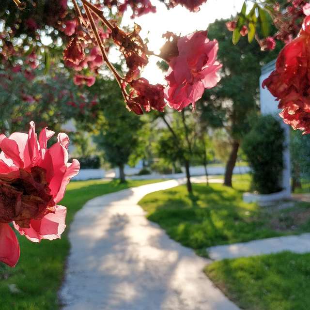 Previsões do tempo com lindas fotos de ANDREY71