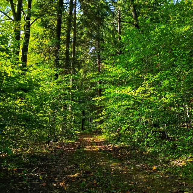 Weather forecasts with beautiful photos by _richardd