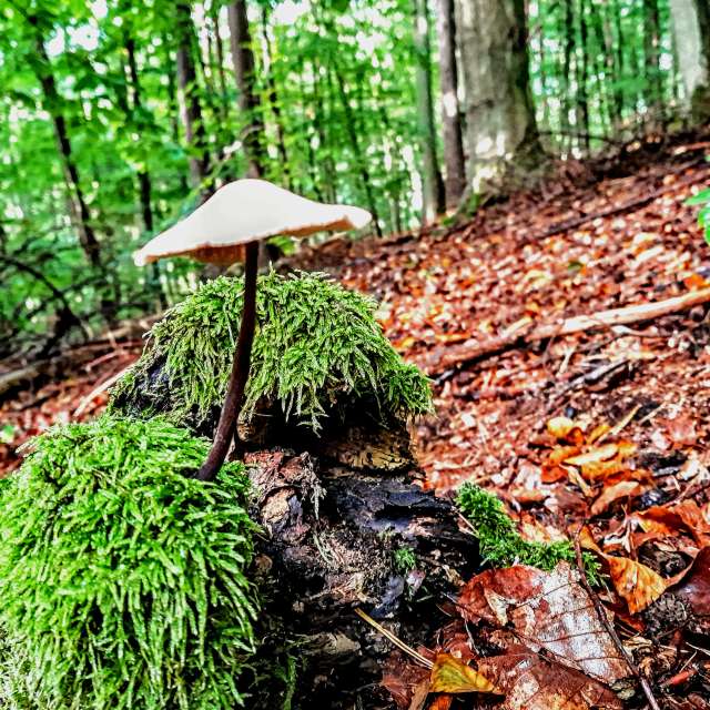 Dự báo thời tiết với những bức ảnh đẹp của Wiesiek