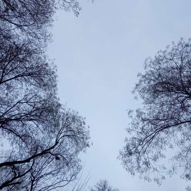 Novi Beograd的Weather. 天气预报，带Doc_H精美的照片照片