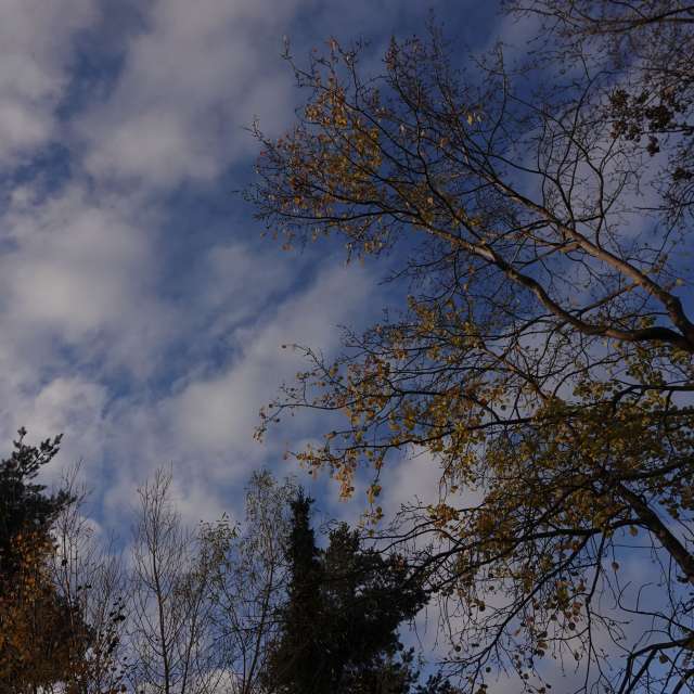 Fotos Grande. Previsões do tempo com lindas fotos de Vasek325 em Praha 4