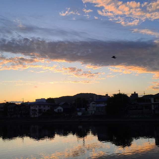 Sheep. Weather forecasts with beautiful photos by あさのジジ Photos in Okayama
