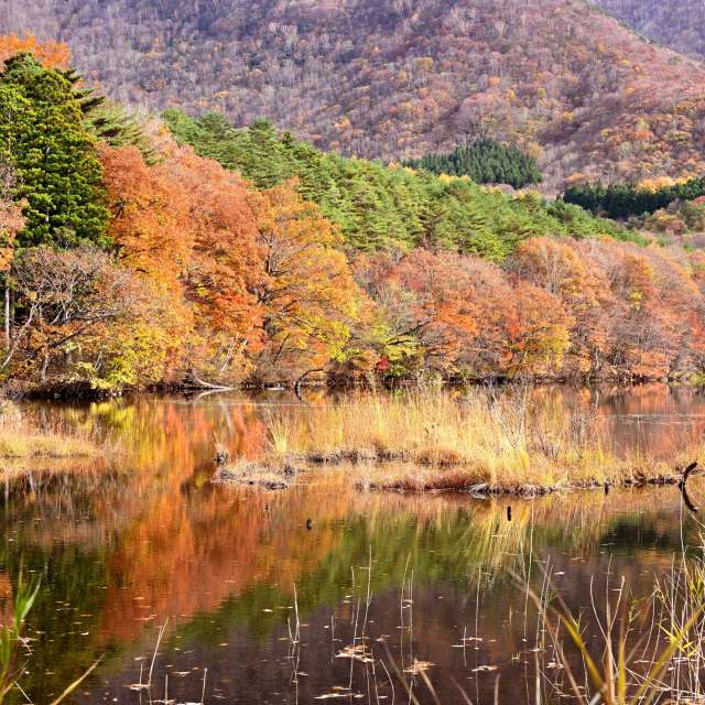 秋. Weather forecasts with beautiful photos by yoshy Photos in World