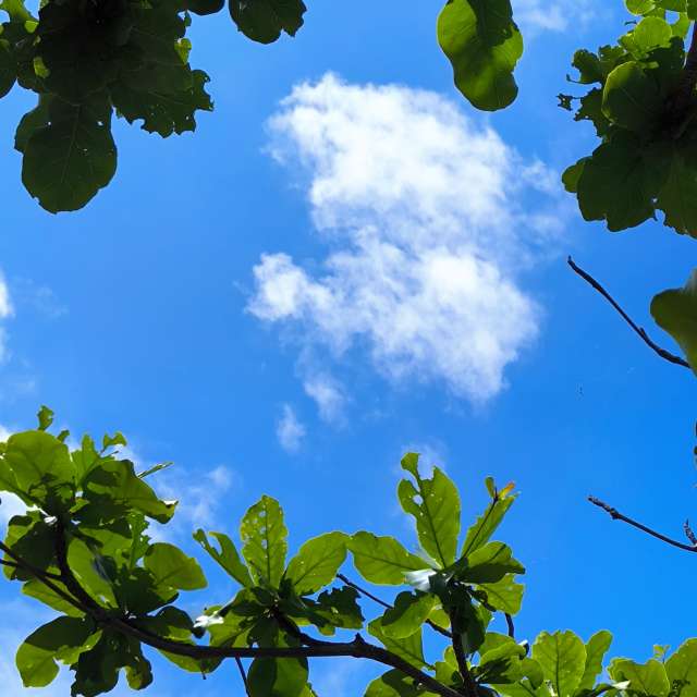 Weather forecasts with beautiful photos by Takimi-sky
