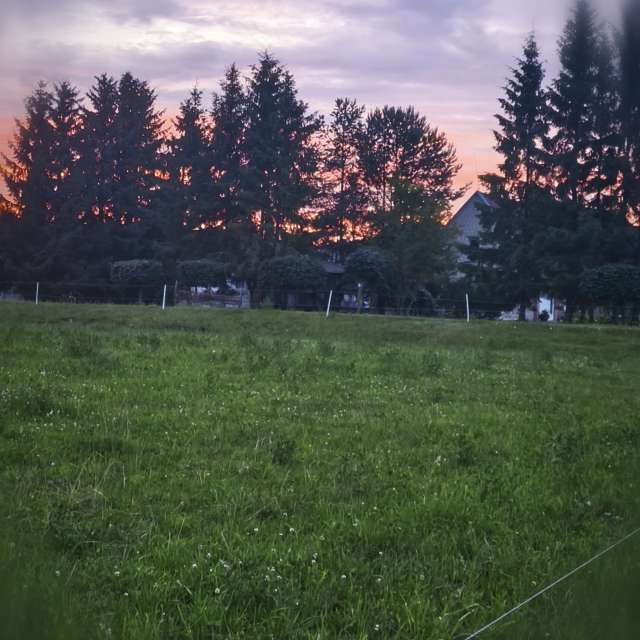 天气预报，带Valiukas精美的照片