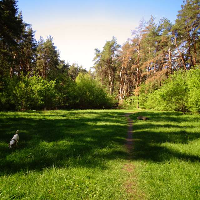 Building. Weather forecasts with beautiful photos by Михаил Гавриков Photos in Kharkiv