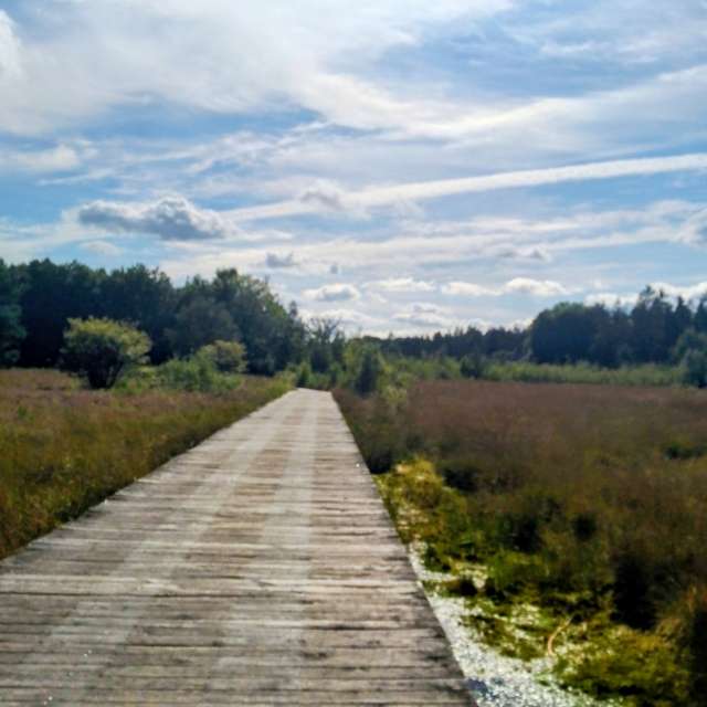 Glasmanの美しい写真による天気予報