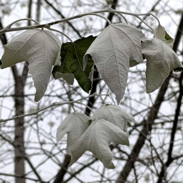 Прогнозы погоды с чудесными фотографиями, сделанными Lena_Glukhova