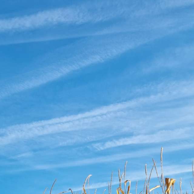 Niagaraの美しい写真による天気予報