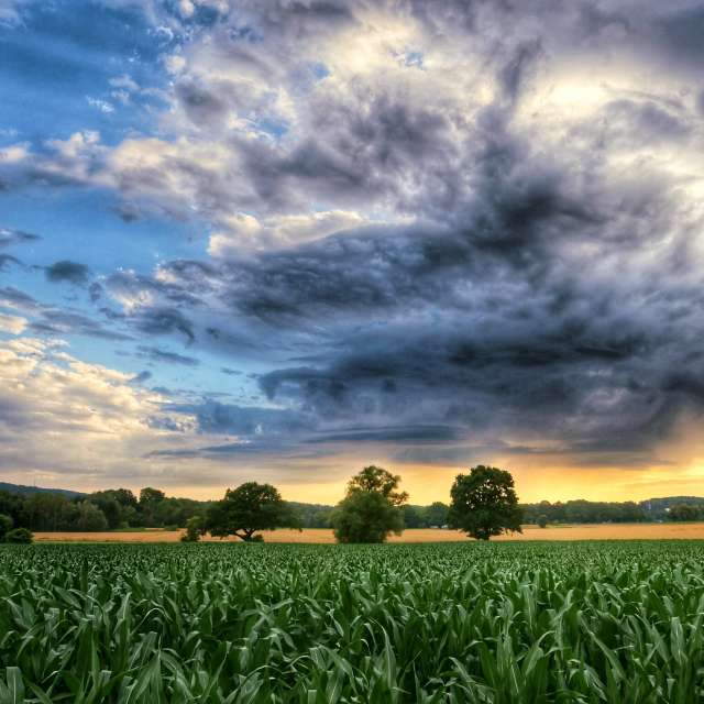 Prévisions météo avec de superbes photos de Lotti5507