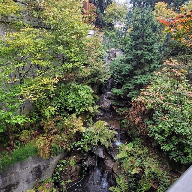 Fotos Clima. Previsões do tempo com lindas fotos de 이후곤 em Seattle